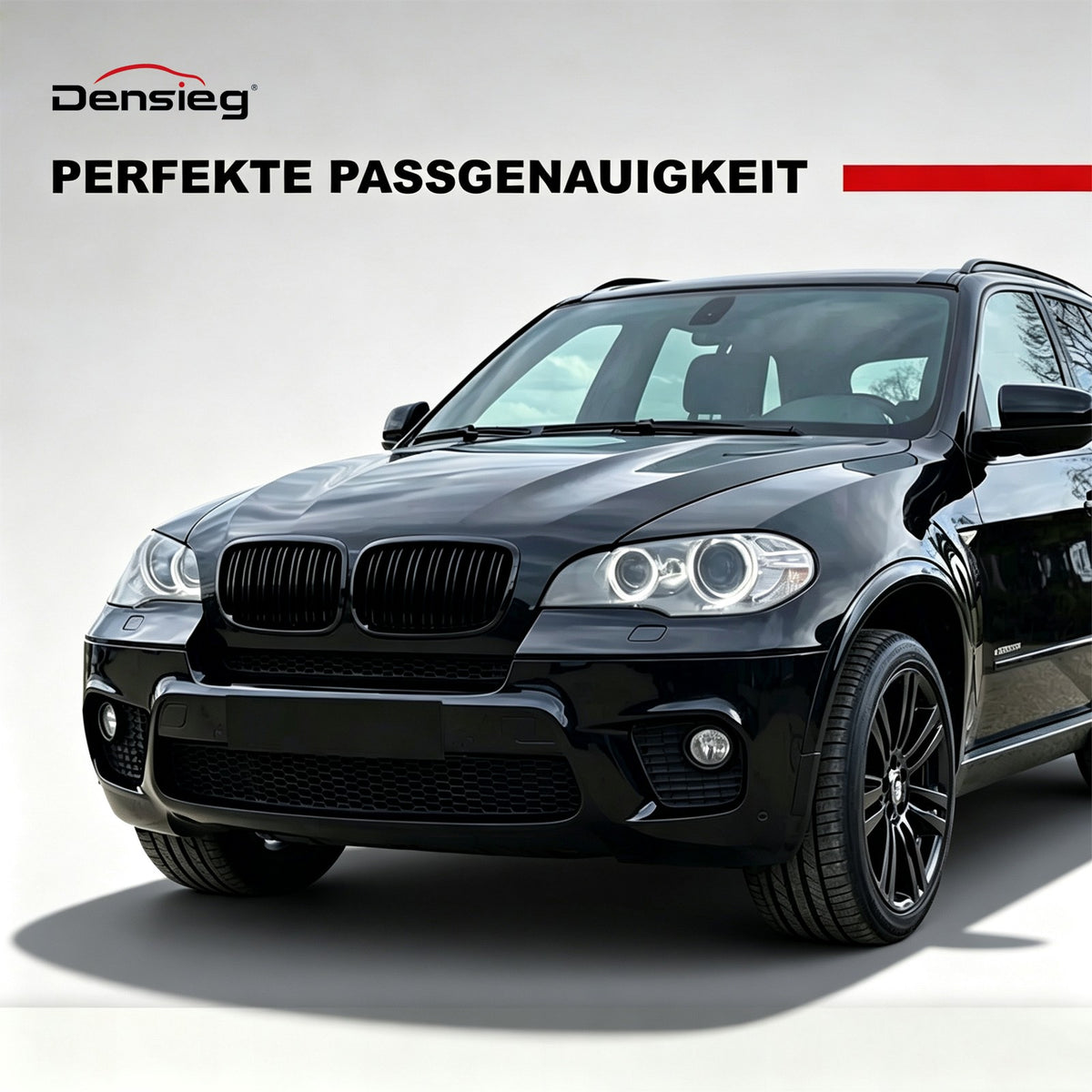 Sport Grill Nieren Kühlergrill für BMW X5 E70 X6 E71 06-13 Glanz Schwarz